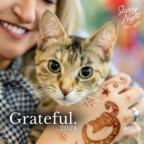 VISIT — Starry Night Cat Cafe