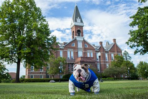 Drake expands access to full-tuition Bulldog Promise, Celebrates 2025 Recipients - Drake ...
