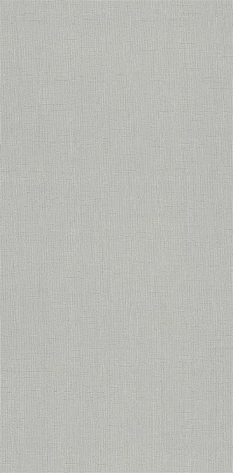 2187 GREY EXOTIC FAB || Super Hylam Pvt. Ltd.