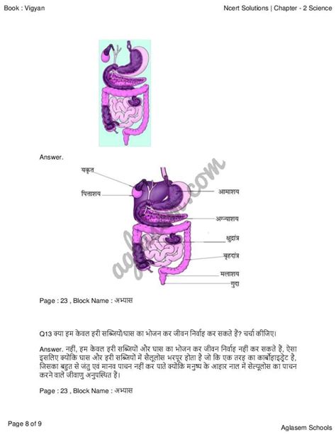 Image result for Class 7th Science Chapter 2 Video