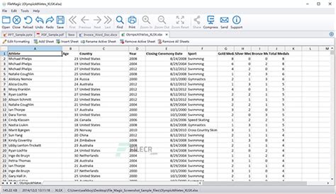 Image result for Activation Key for File Magic