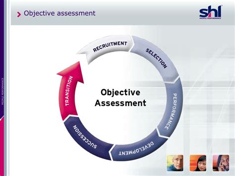 Assessment Objective 的图像结果