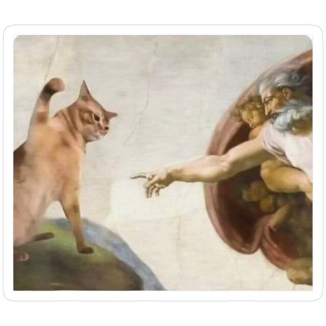 "Funny Cat God Creation of Adam Meme Michelangelo Jesus Art Graphic" Sticker for Sale by Damcoc ...