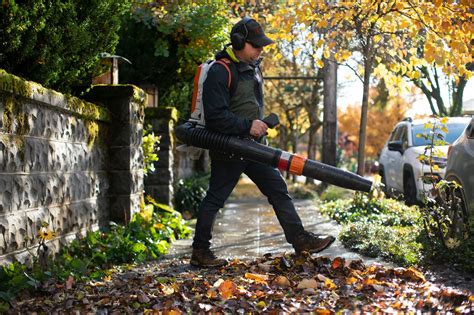 States and towns consider banning gas-powered leaf blowers and lawn mowers Background Aesthetic