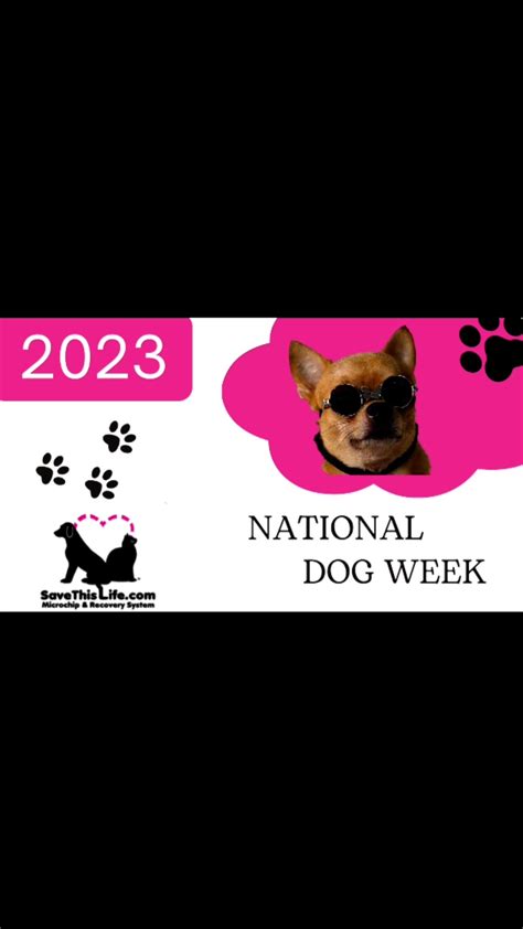 Save This Life - Microchip & Pet Recovery System (@savethislifeofficial ...