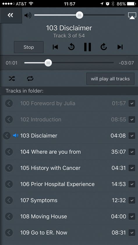 MacBook Audio to Text 的图像结果