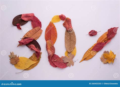 Thirty Percent of Autumn Leaves on a White Background Stock Image ...