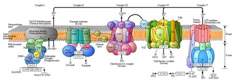 Image result for System Test 16