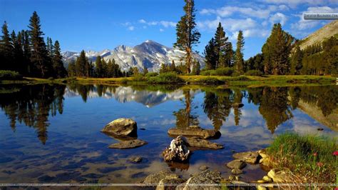 Country Landscape High Resolution 的图像结果