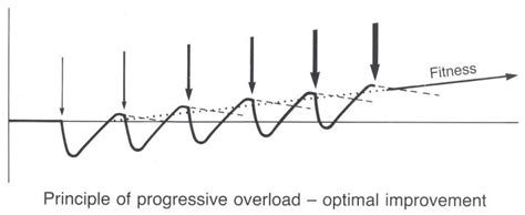 Image result for Progressive Overload Graph