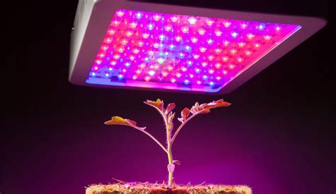 Image result for Full Spectrum LED Grow Lights