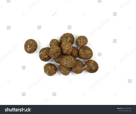 Rabbit Evolution Coin Poop 的图像结果