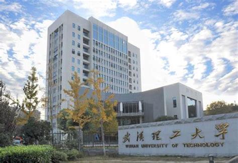 武汉科技大学MBA