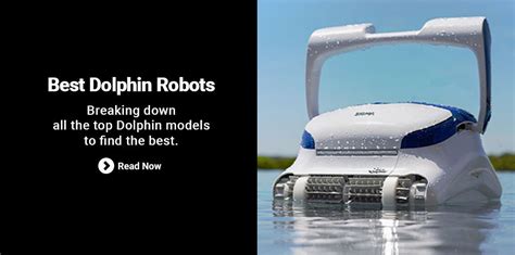 Image result for Dolphin vs Python