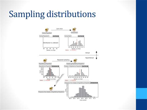 Image result for Sampling and Sampling Distributions