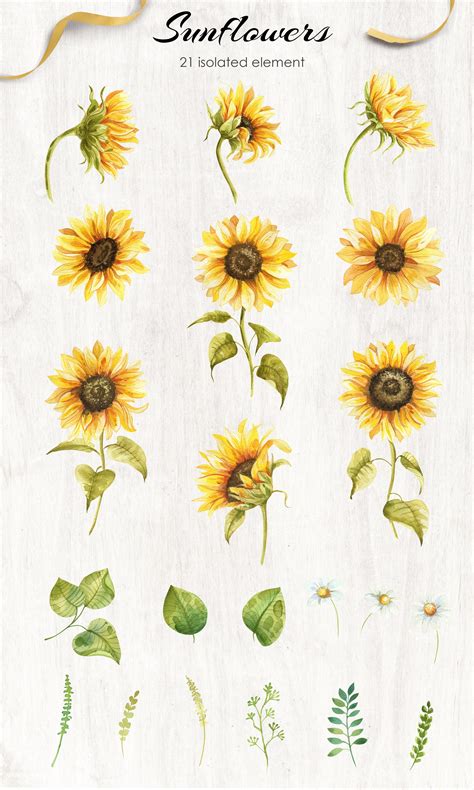 Sunflowers Watercolor Collection by Dervik Art Store