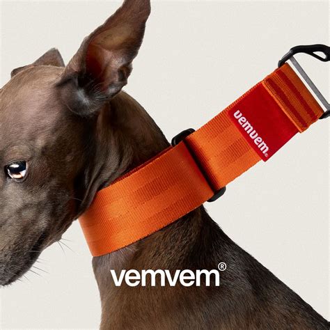 🥚 CIRCLE: FEEL FREE – SPANISH TANGERINE Walking isn’t just a motion— it ...