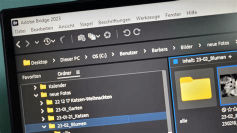 Adobe Bridge: Fotos einfach verwalten - Das Tutorial für Einsteiger ...