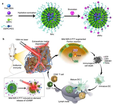 Recent Advances in Engineering Nanomedicines for Second Near-Infrared ...