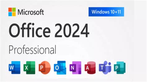 Microsoft Office Professional 2024 PC Digital Key günstig kaufen ...