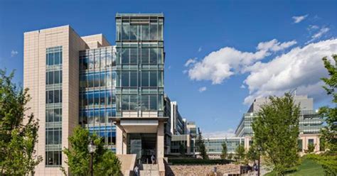 Image result for Pilot Peer Support Program