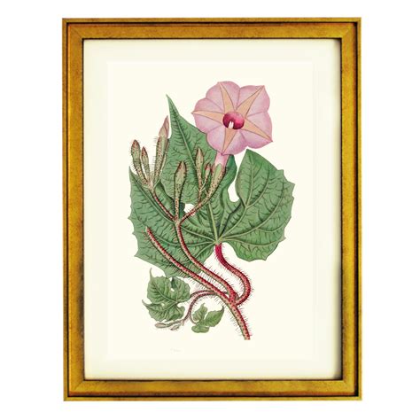 Elephantine Serenity Art Print – Ikka Dukka Studio Private Limited.