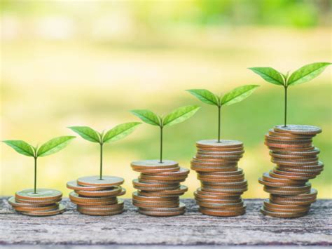 Triple Bottom Line 的图像结果