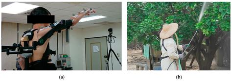 Evaluation of a Passive Upper-Limb Exoskeleton Applied to Assist ...