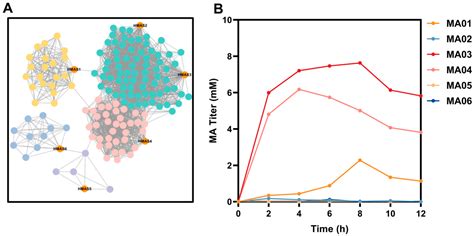 Metabolic Engineering of Escherichia coli for De Novo Biosynthesis of ...