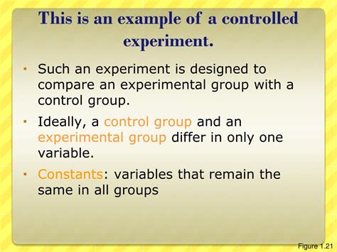 Scientific Control 的图像结果