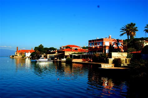 Image result for Best Examples of Local Colors