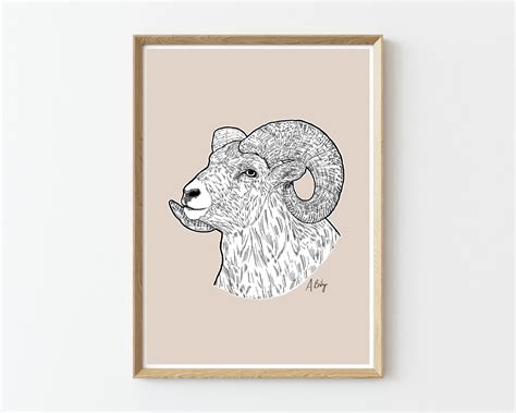 Bighorn Sheep Head Drawing