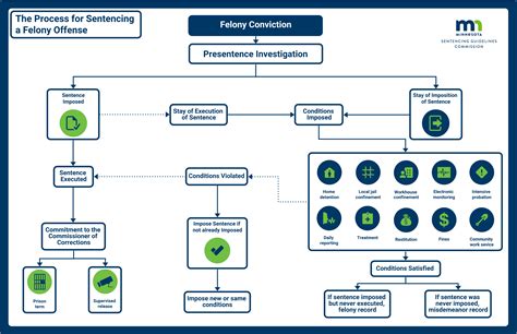 The Felony Sentencing Process / Minnesota Sentencing Guidelines Commission