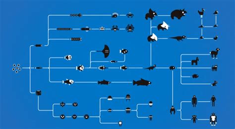 Image result for Evolution Animation