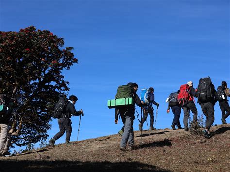 CRUISE IN MYANMAR (2026) All You Need to Know BEFORE You Go (with ...