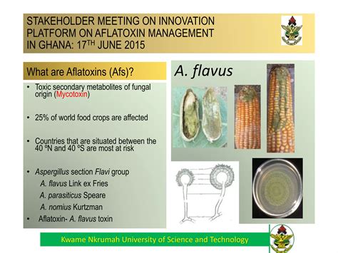 PLATFORM ON AFLATOXIN MANAGEMENT IN GHANA | PPTX