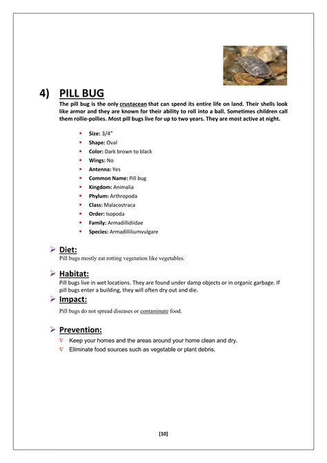 evs project on study of birds,insects and plants | PDF