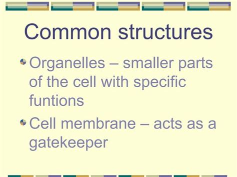 Basic Cell Structure 的图像结果