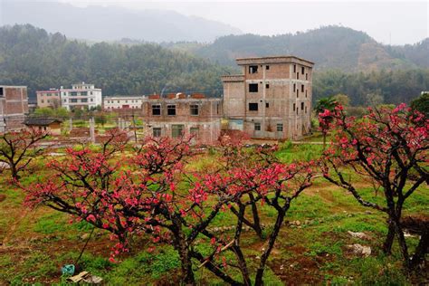 连平县大湖镇旅游景点,河源连平大湖花海,连平县大湖镇_大山谷图库