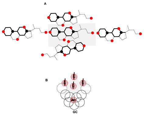 Symmetry (Asymmetry) of the Molar Excess Gibbs Free Energy Function of ...