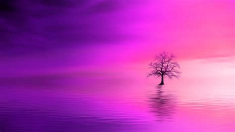Download wallpaper 1366x768 tree, pink, horizon, lonely tablet, laptop ...