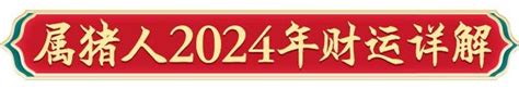 周易2024年十二生肖运势12属相猪人运程详解大全及开运宝典|财富|属猪|文曲星_新浪新闻