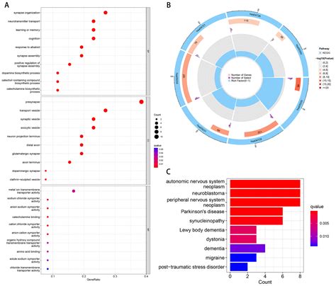 Parkinson’s Disease Gene Biomarkers Screened by the LASSO and SVM ...