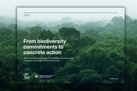 Regional launch of Europe’s environment 2025 marks two decades of partnership with EEA’s cooperating