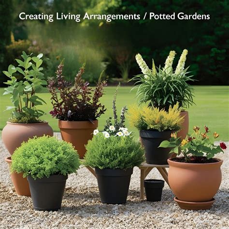 Creating Stunning Potted Gardens & Living Arrangements, 1124 W Front St ...