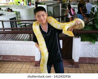 Python Wrapped around Body 的图像结果