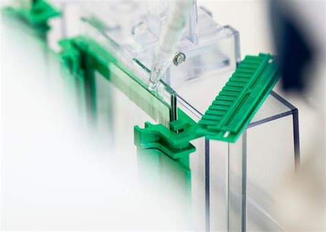 Western-Blot-Protokoll | Proteintech Group