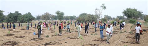 How does biochar differ from charcoal and compost? – Grow Billion Trees