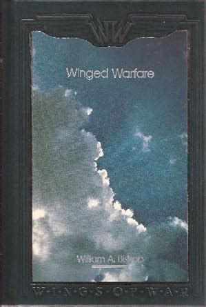 Buy Winged Warfare: Hunting the Huns in the Air (Wings of War) Book ...