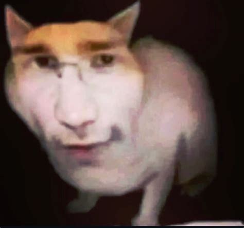 Pin by vale vasquez on Stickers pal wsp in 2025 | Funny picture jokes ...